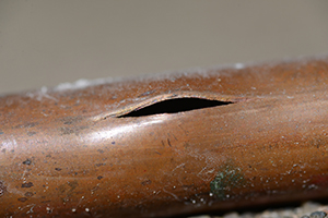 Burst water pipe